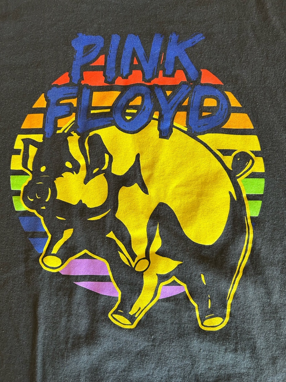 Vintage Style Pink Floyd Pig Graphic Tee Shirt Retro Rainbow Sunset Gray XL